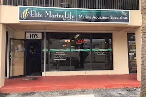 Elite MarineLife image