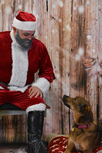 Pet Supply Store «Thomaston Feed of Cheshire», reviews and photos, 851 S Main St, Cheshire, CT 06410, USA