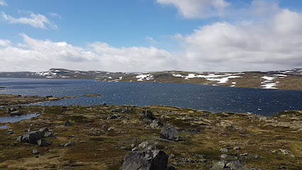 Halnefjorden