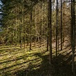 Naturpark Oberpfälzer Wald e.V.