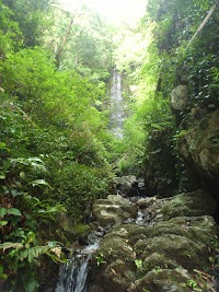 白藤の滝