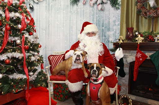 Pet Supply Store «The Hungry Puppy», reviews and photos, 1288 NJ-33, Farmingdale, NJ 07727, USA