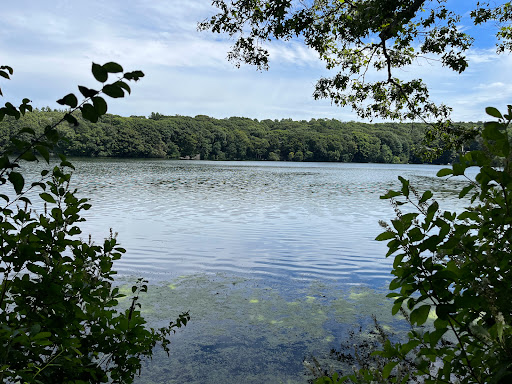 Heritage Museum «Heritage Museums & Gardens», reviews and photos, 67 Grove St, Sandwich, MA 02563, USA