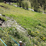 Photo n°4 de l'avis de Arianna.u fait le 16/06/2019 à 09:44 sur le  Rifugio L' Aroula à Champoluc