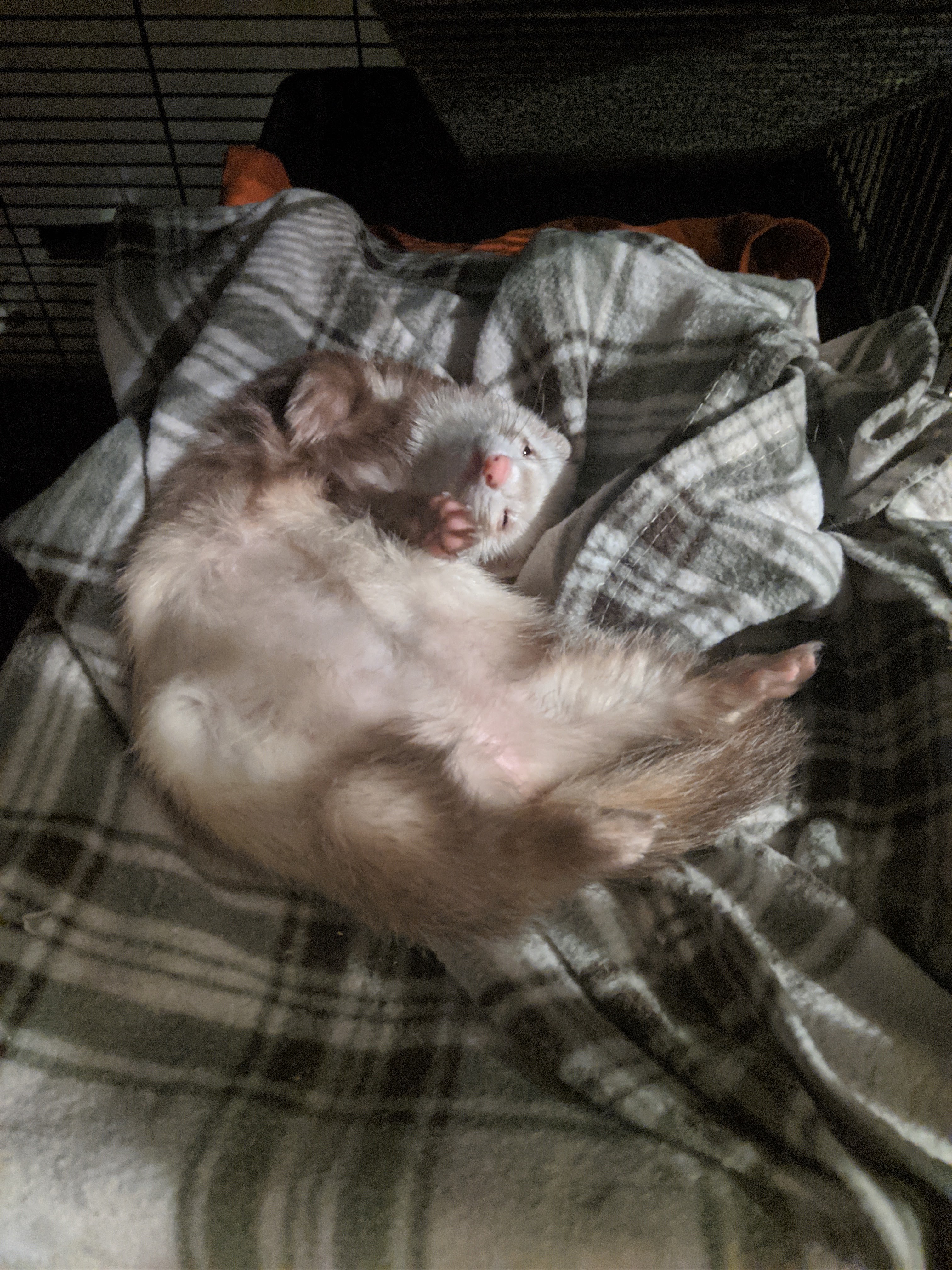 Photo n° 1 de l'avis de thomas.u fait le 03/12/2016 à 16:31