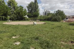 Parque Canino Quinta da Formiga image