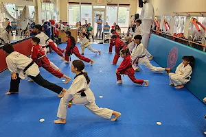 Ykwon Taekwondo image