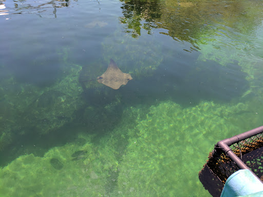 Aquarium «Miami Seaquarium», reviews and photos, 4400 Rickenbacker Causeway, Key Biscayne, FL 33149, USA