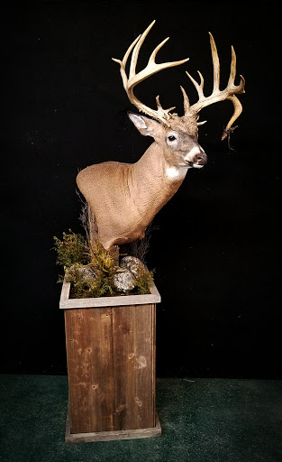 Taxidermist «HighPoint Taxidermy And Outfutters», reviews and photos, 14860 OH-13, Thornville, OH 43076, USA
