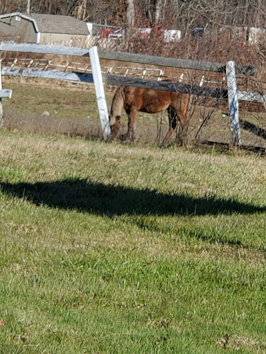 Tobacco Shop «Towne Centre Smoke Shop», reviews and photos, 1588 Union Valley Rd # B, West Milford, NJ 07480, USA