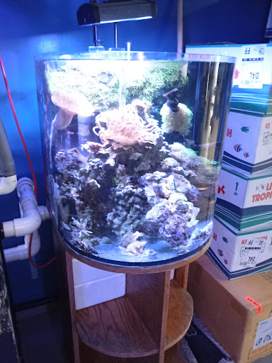 Tropical Fish Store «Aquatic Design», reviews and photos, 1629 N Central Expy, Plano, TX 75075, USA