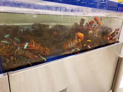 Grocery Store «Hannaford Supermarket», reviews and photos, 65 Gray Rd, Falmouth, ME 04105, USA