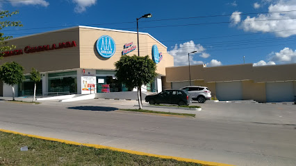 Farmacia Guadalajara Malaquita 303, La Ermita, 37358 León, Gto. Mexico