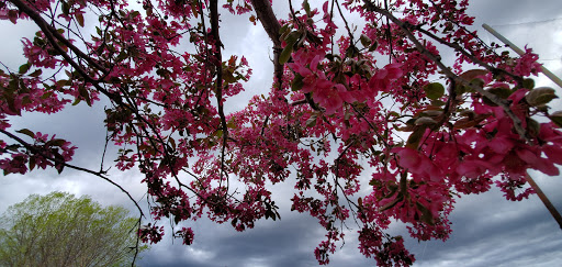 Golf Course «Kennedy Golf Course», reviews and photos, 10500 E Hampden Ave, Denver, CO 80014, USA