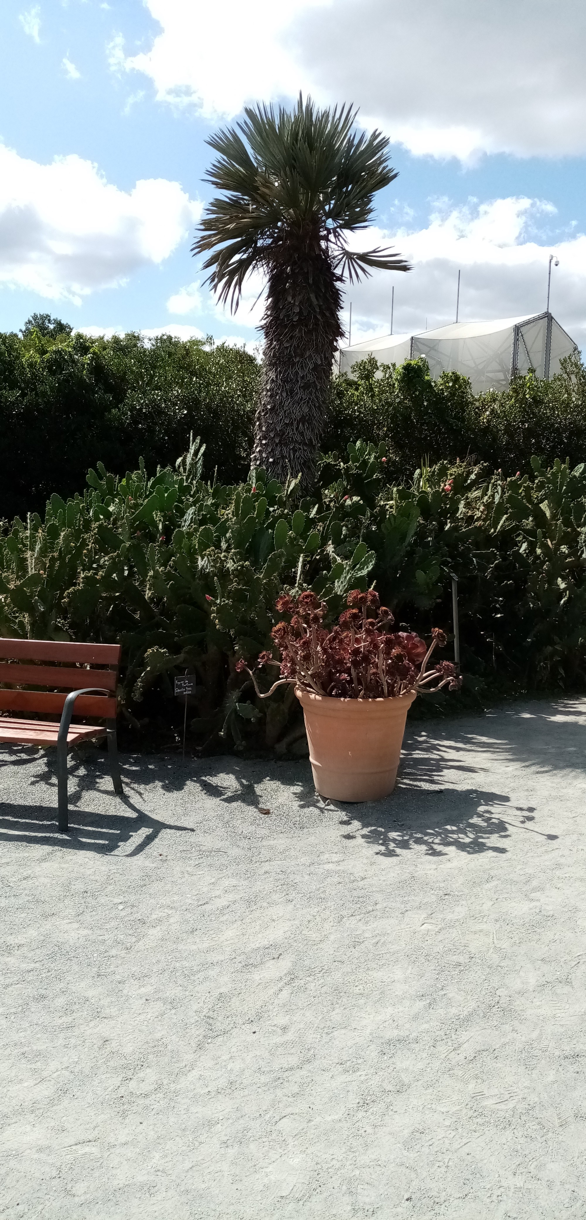 Photo n° 25 de l'avis de Laurent.d fait le 27/09/2019 à 14:02