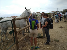 Embriovet - Prestação De Serviços Veterinários, Lda.