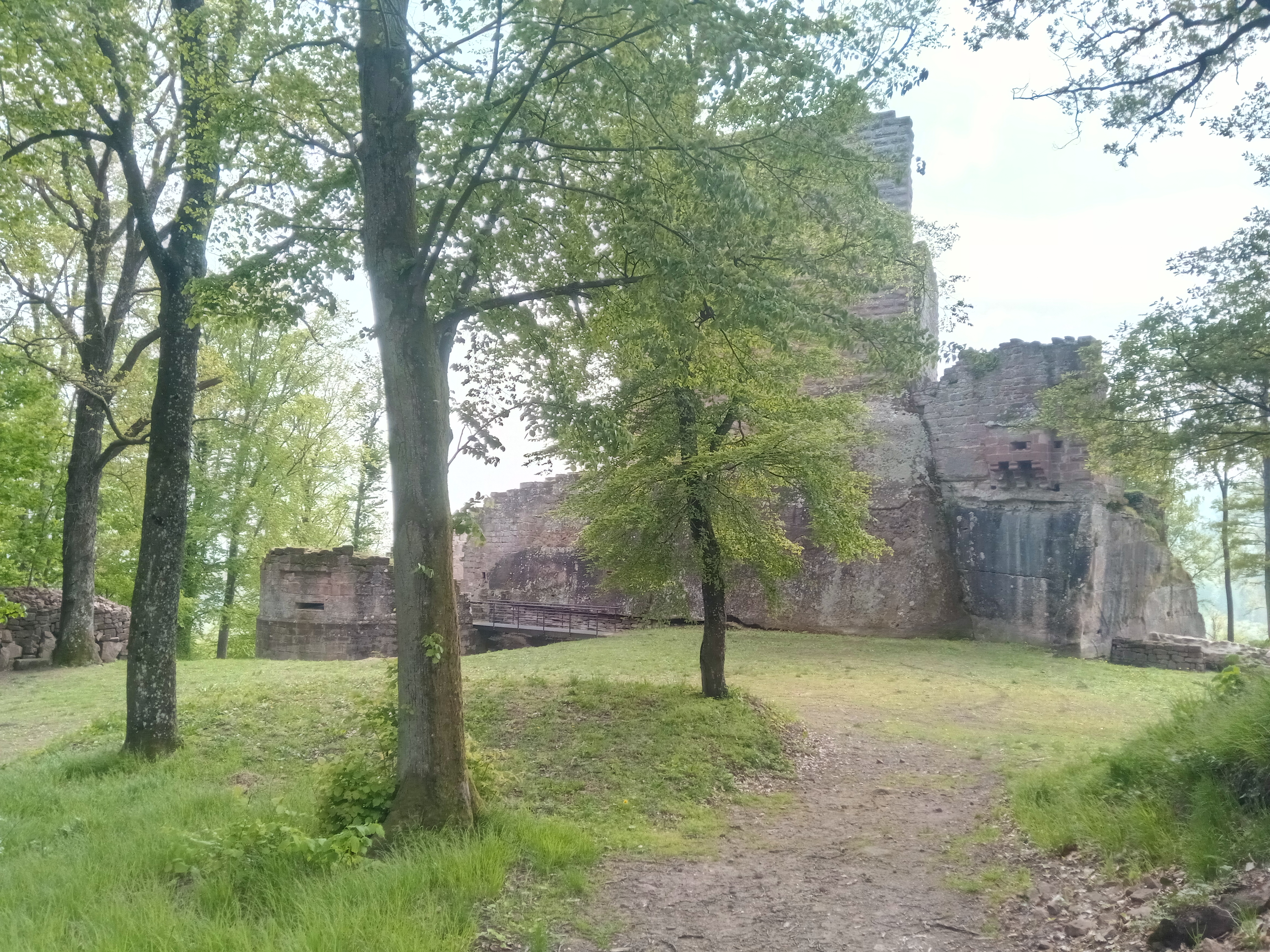 Photo n° 11 de l'avis de Ives.e fait le 03/05/2019 à 12:37