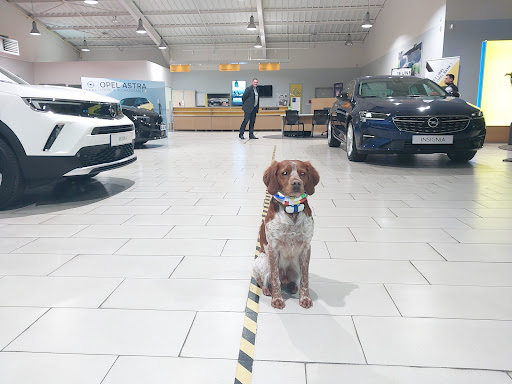 Photo 5 - Opel Garage Esch