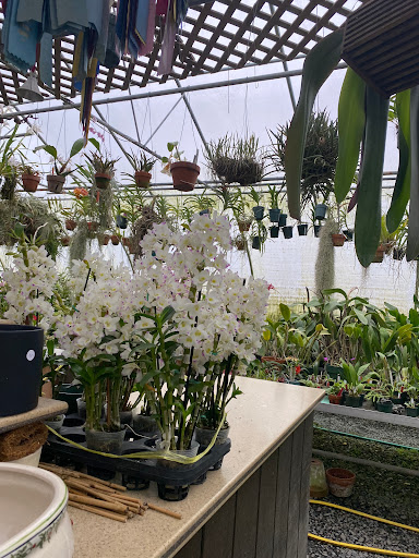 Floradise Orchids, 19154 James Madison Hwy, Gordonsville, VA 22942, USA, 