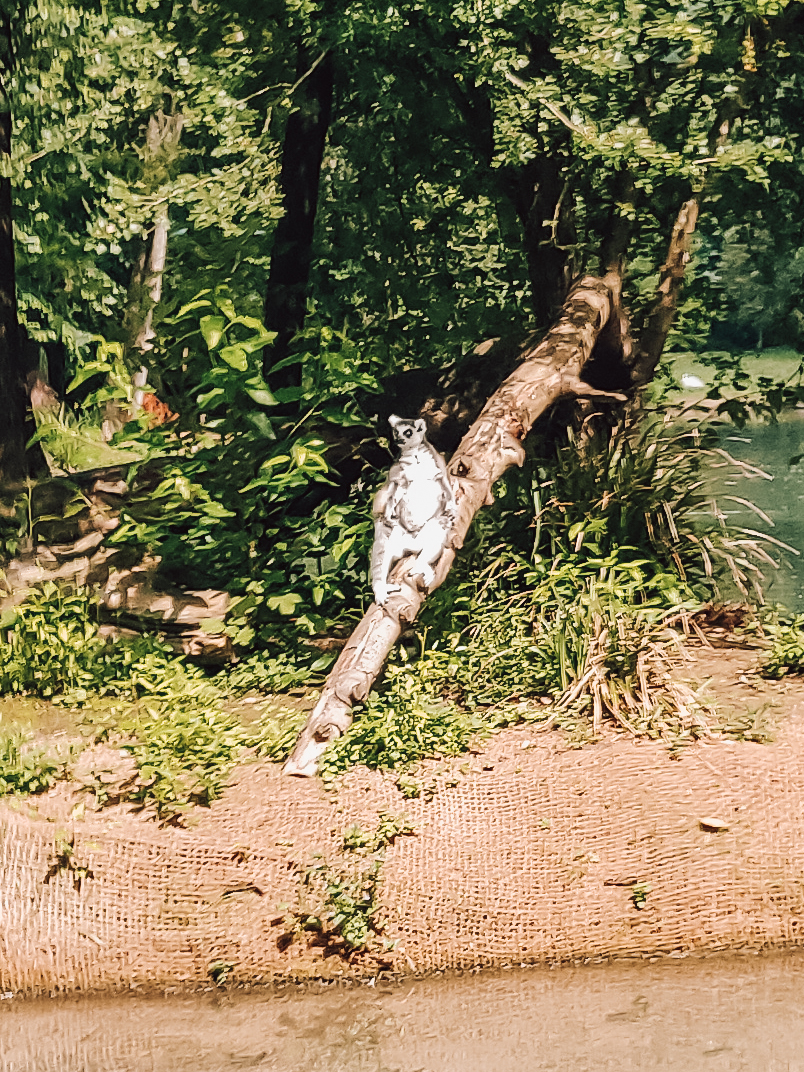 Photo n° 6 de l'avis de Chloé.b fait le 04/07/2021 à 12:42