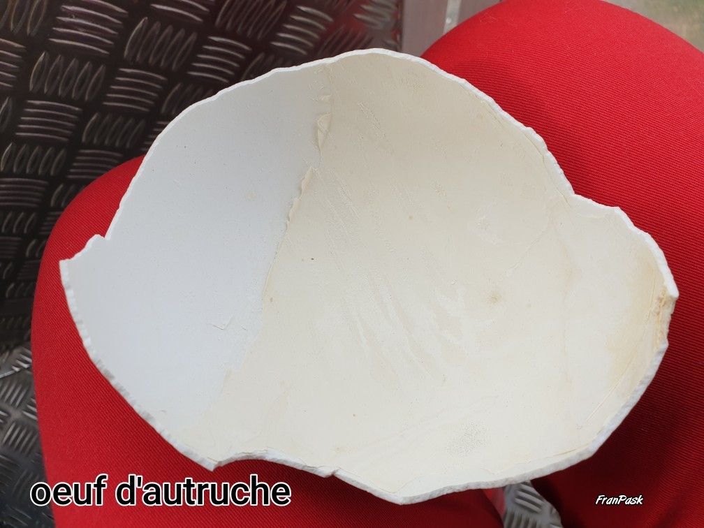 Photo n° 14 de l'avis de Frane.a fait le 15/04/2019 à 16:06