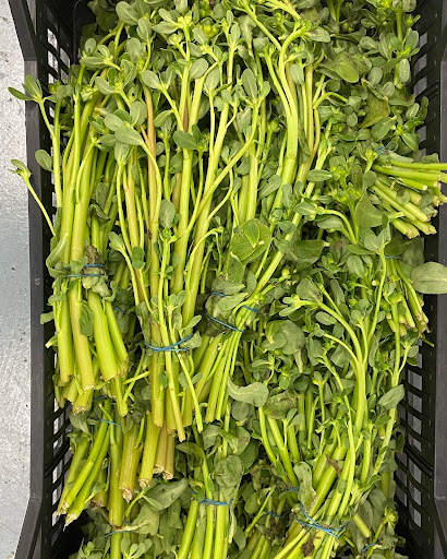 Kosher Grocery Store «Al-Taiba Market», reviews and photos, 1008 W Chapel Hill St, Durham, NC 27707, USA