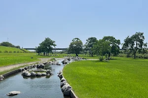 Oyodogawa Water Park image