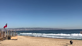 Maratón Viña Del Mar