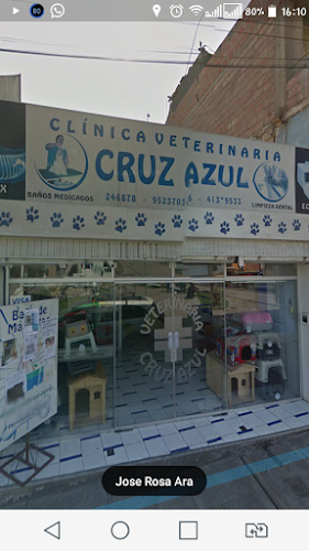 Opiniones de Veterinqria Cruz Azul en Tacna - Médico