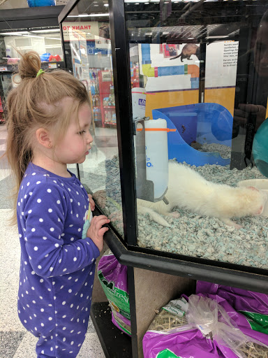 Pet Supply Store «Petco Animal Supplies», reviews and photos, 1694 Boston Rd, Springfield, MA 01129, USA