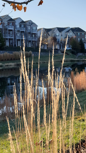 Public Golf Course «Brambleton Regional Park and Golf Course», reviews and photos, 42180 Ryan Rd, Ashburn, VA 20148, USA