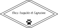 Chez Auguste et Capucine Gennes-sur-Seiche