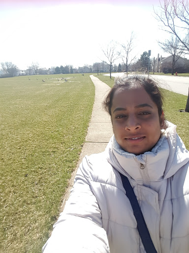 Park «Prairie Park», reviews and photos, 431 Knollwood Dr, Barrington, IL 60010, USA