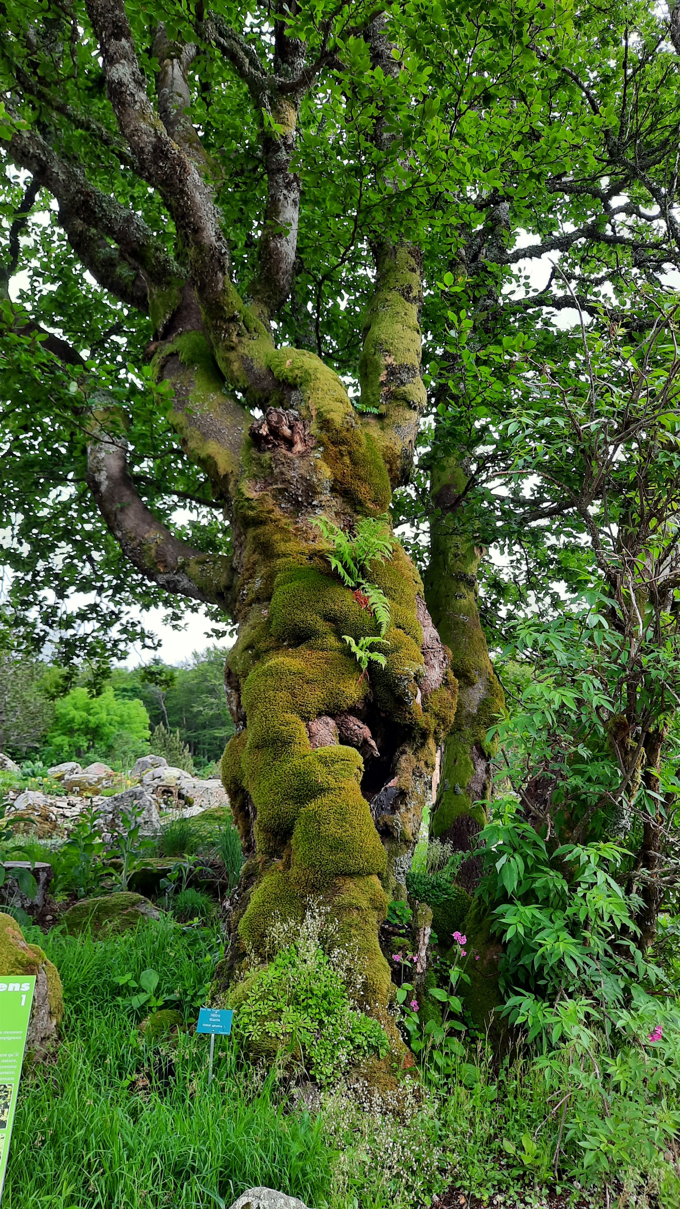 Photo n° 2 de l'avis de Marie-Cécile.A fait le 30/06/2021 à 07:17
