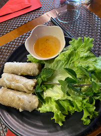 Rouleau de printemps du Restaurant thaï Thaï Basilic Créteil Soleil à Créteil - n°17
