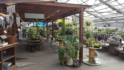 Garden Center «Homestead Gardens», reviews and photos, 743 Central Ave, Davidsonville, MD 21035, USA