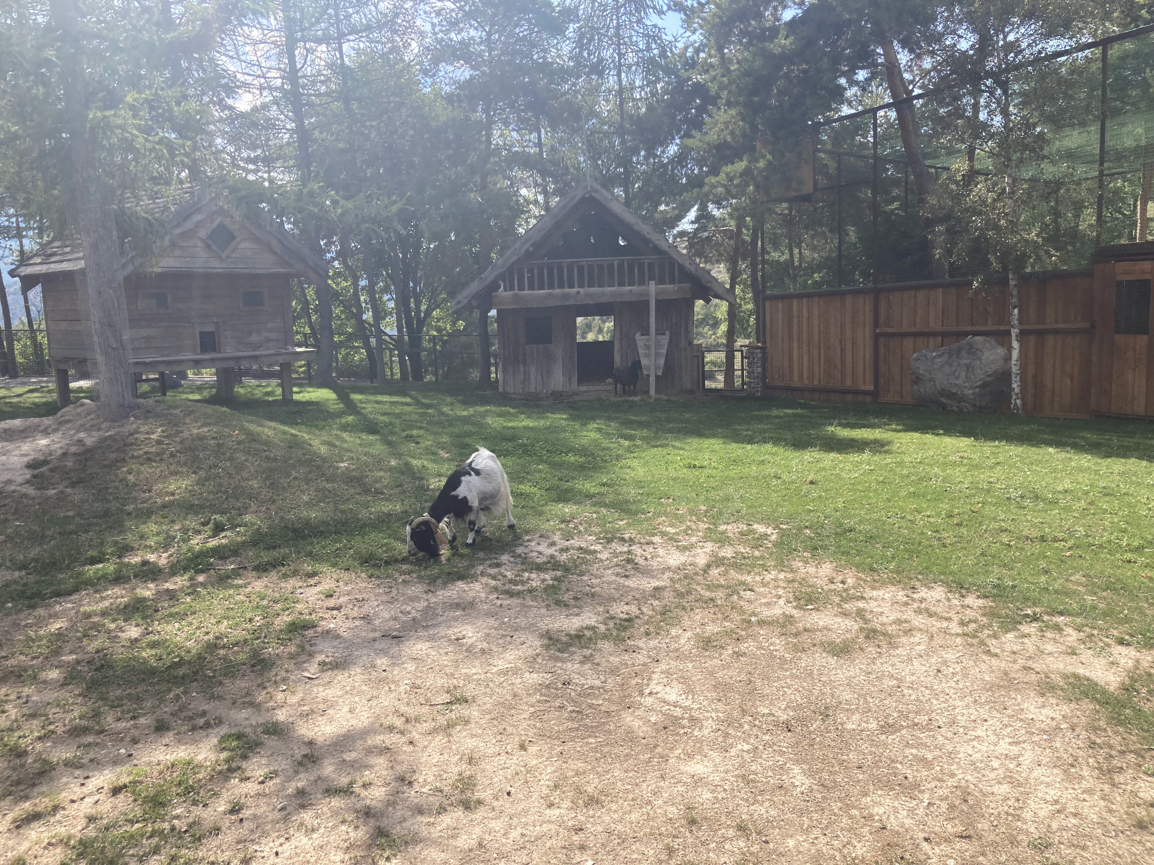 Photo n° 11 de l'avis de Laurianne.o fait le 26/08/2022 à 16:16