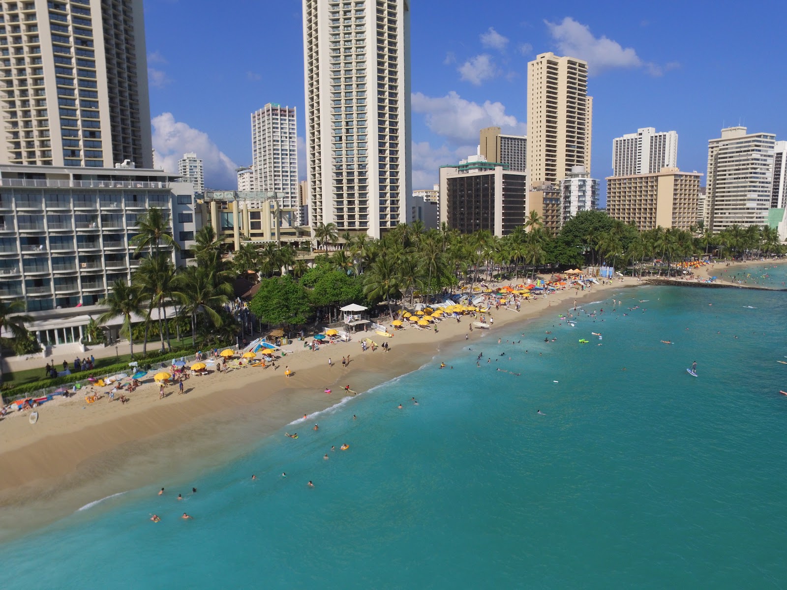 Waikiki Beach photo #9