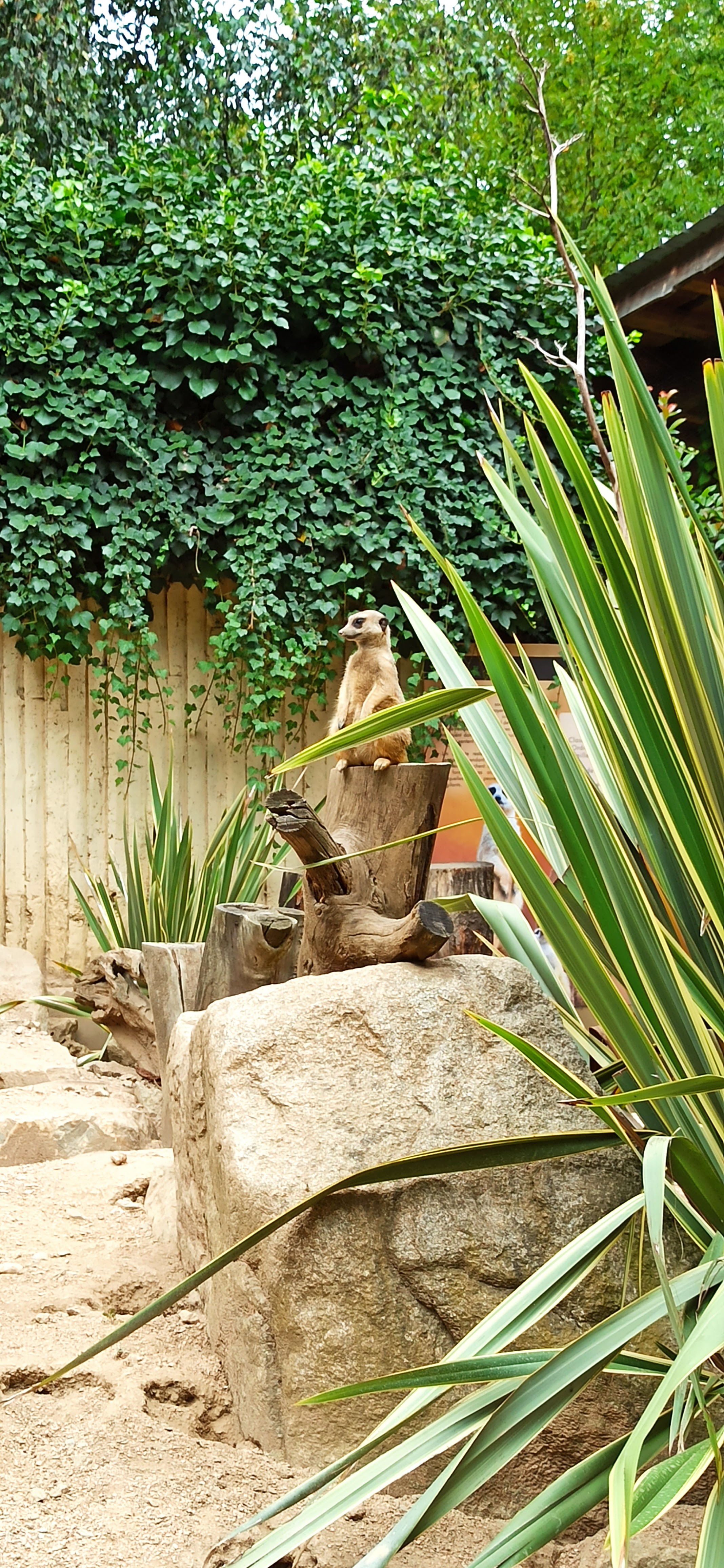 Photo n° 1 de l'avis de Carpe.a fait le 21/07/2023 à 17:53