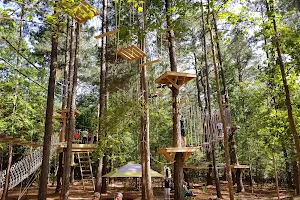TreeRunner Adventure Park & Putt Putt Forest image