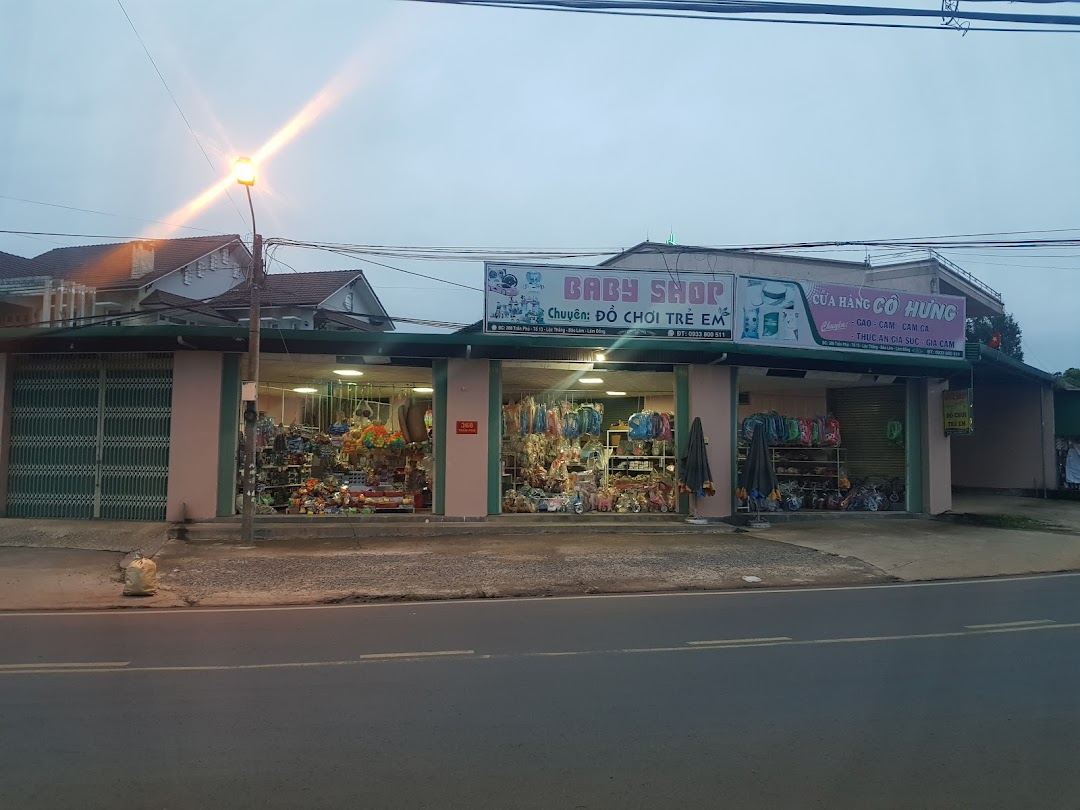 LÂM KIM QUANG (Cửa Hàng đồ chơi BABY SHOP)