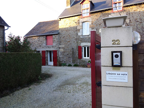 Libérer sa voix parlée et chantée, cours de chant et d'expression vocale à Lanvallay