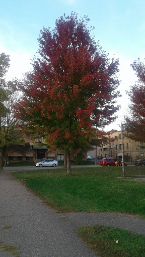 Park «Van Cleve Park Rink», reviews and photos, 901 15th Ave SE, Minneapolis, MN 55414, USA