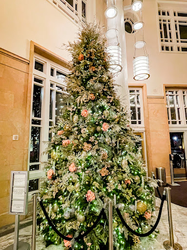 Performing Arts Theater «Bass Performance Hall», reviews and photos, 525 Commerce St, Fort Worth, TX 76102, USA