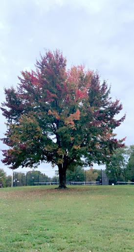 Park «Lakeview Park», reviews and photos, 9345 Portage Rd, Portage, MI 49002, USA