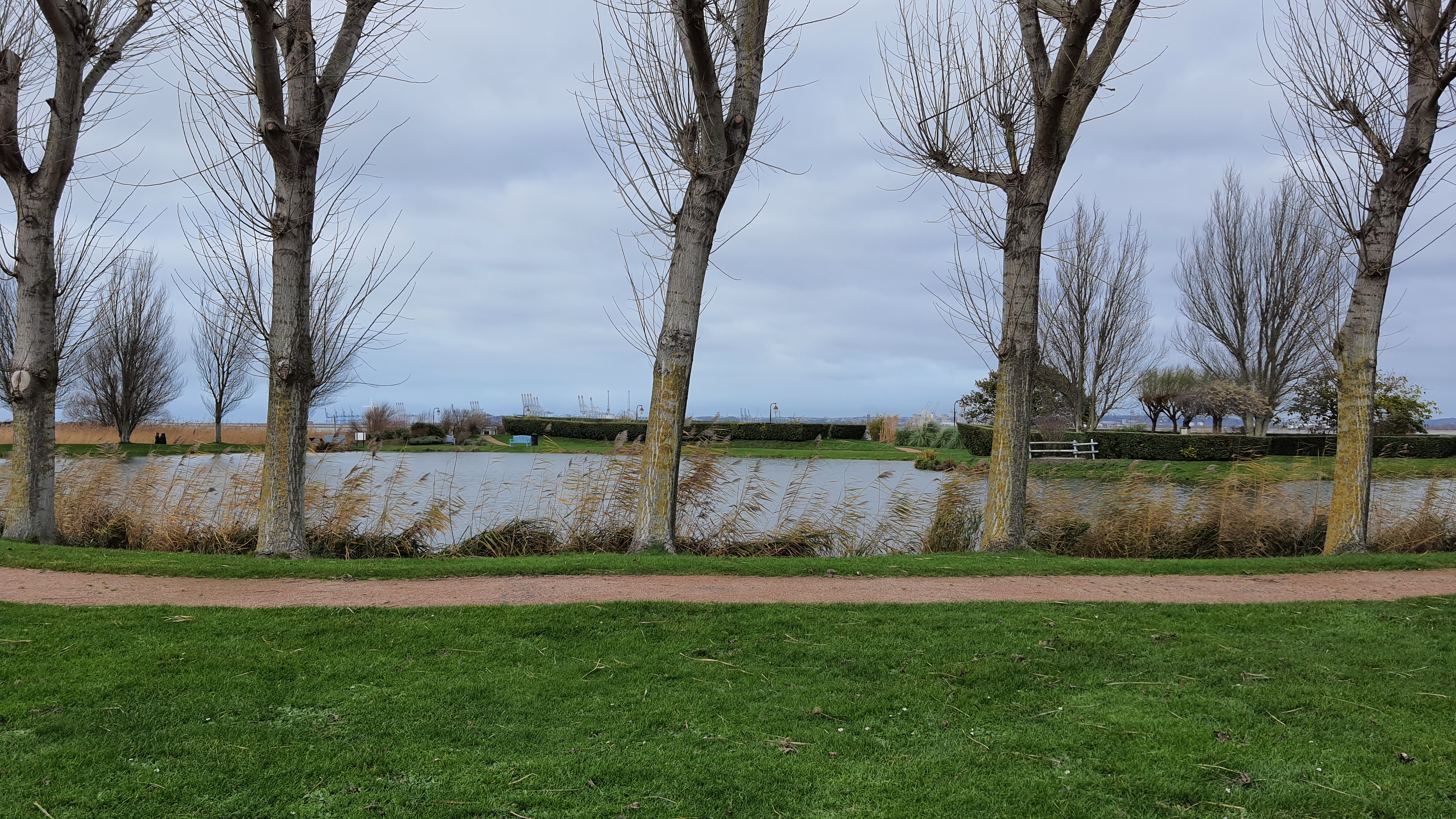 Photo n° 1 de l'avis de Jacquel.a fait le 12/12/2021 à 14:08