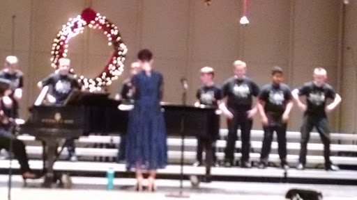 Performing Arts Theater «Medina Performing Arts Center», reviews and photos, 851 Weymouth Rd, Medina, OH 44256, USA