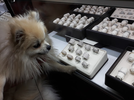 Jewelry Store «Scott Jewelers», reviews and photos, 1220 Kings Hwy, Brooklyn, NY 11229, USA