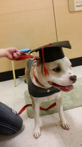 Pet Supply Store «PetSmart», reviews and photos, 1705 N Bechtle Ave, Springfield, OH 45504, USA