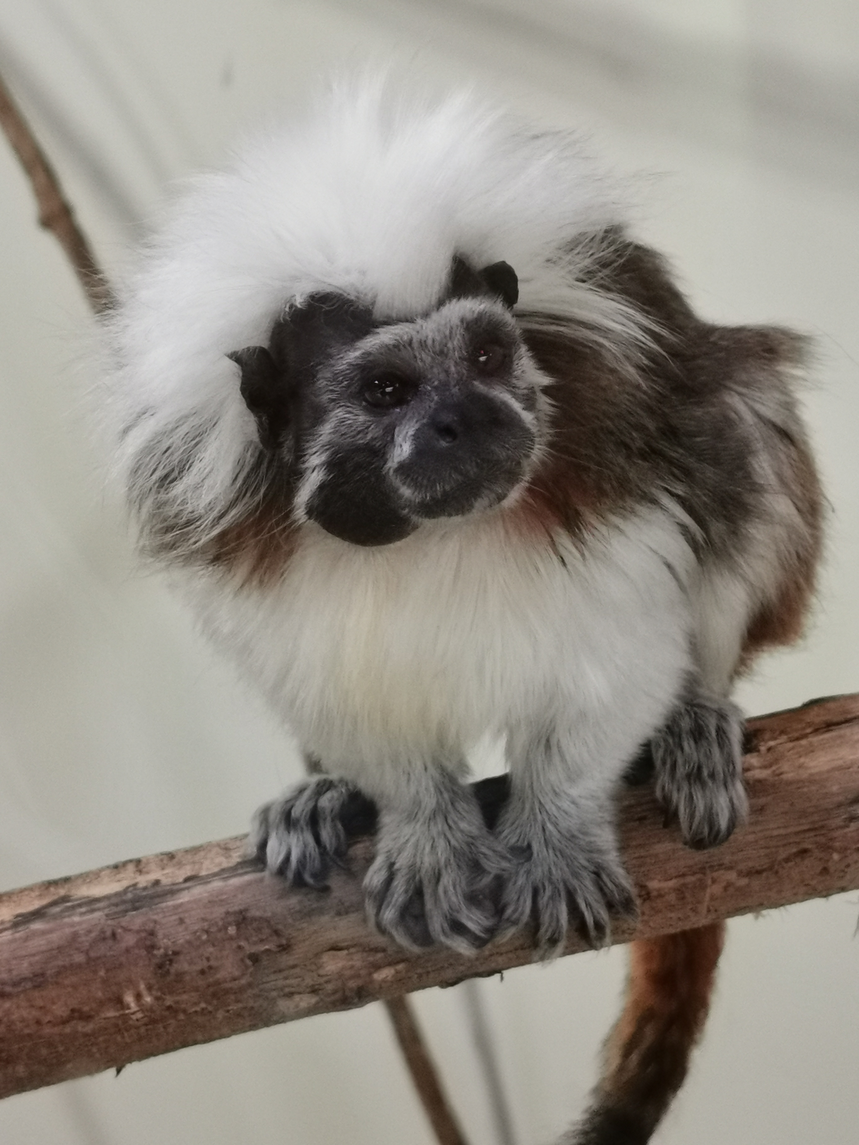 Photo n° 6 de l'avis de Sylvain.i fait le 03/09/2020 à 11:35